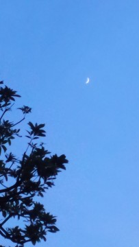 月だょ。の画像1